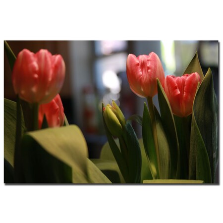 Martha Guerra 'Tulips' Canvas Art,16x24